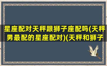 星座配对天秤跟狮子座配吗(天秤男最配的星座配对)(天秤和狮子男合适吗)