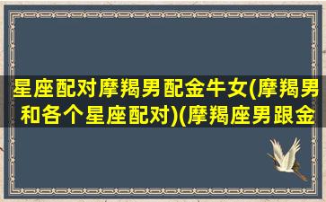 星座配对摩羯男配金牛女(摩羯男和各个星座配对)(摩羯座男跟金牛女匹配么)