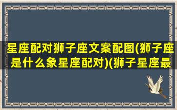 星座配对狮子座文案配图(狮子座是什么象星座配对)(狮子星座最配什么星座)