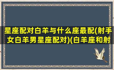 星座配对白羊与什么座最配(射手女白羊男星座配对)(白羊座和射手座匹配度)