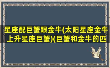 星座配巨蟹跟金牛(太阳星座金牛上升星座巨蟹)(巨蟹和金牛的匹配程度)