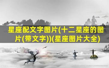 星座配文字图片(十二星座的图片(带文字))(星座图片大全)