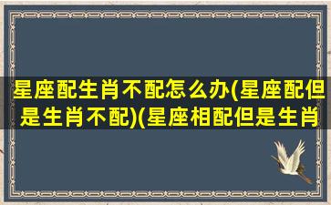 星座配生肖不配怎么办(星座配但是生肖不配)(星座相配但是生肖相克咋办)