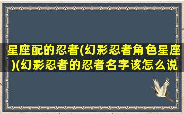 星座配的忍者(幻影忍者角色星座)(幻影忍者的忍者名字该怎么说)