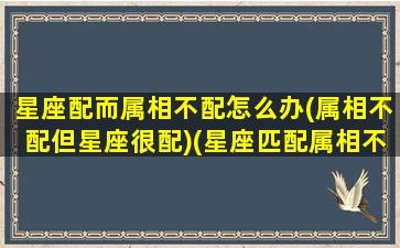 星座配而属相不配怎么办(属相不配但星座很配)(星座匹配属相不匹配)