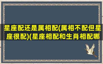 星座配还是属相配(属相不配但星座很配)(星座相配和生肖相配哪个更准确)