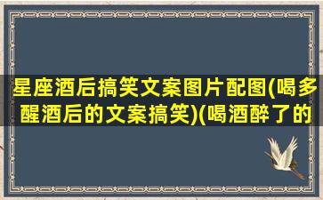 星座酒后搞笑文案图片配图(喝多醒酒后的文案搞笑)(喝酒醉了的搞笑朋友圈)