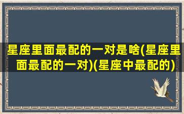 星座里面最配的一对是啥(星座里面最配的一对)(星座中最配的)