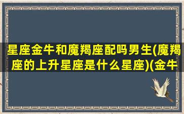 星座金牛和魔羯座配吗男生(魔羯座的上升星座是什么星座)(金牛和摩羯座匹配程度是多少)