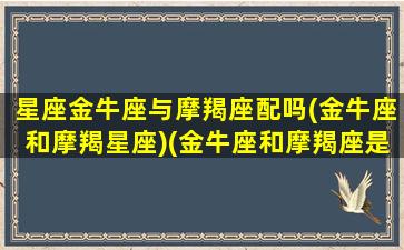 星座金牛座与摩羯座配吗(金牛座和摩羯星座)(金牛座和摩羯座是绝配吗)