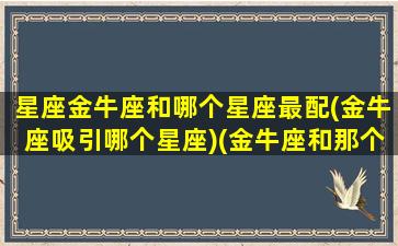 星座金牛座和哪个星座最配(金牛座吸引哪个星座)(金牛座和那个星座最匹配)