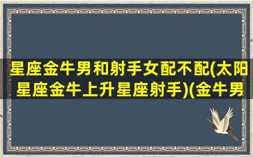 星座金牛男和射手女配不配(太阳星座金牛上升星座射手)(金牛男和射手女怎么样)