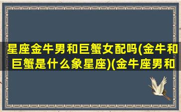 星座金牛男和巨蟹女配吗(金牛和巨蟹是什么象星座)(金牛座男和巨蟹座女配对指数)