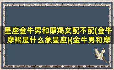 星座金牛男和摩羯女配不配(金牛摩羯是什么象星座)(金牛男和摩羯女绝配)