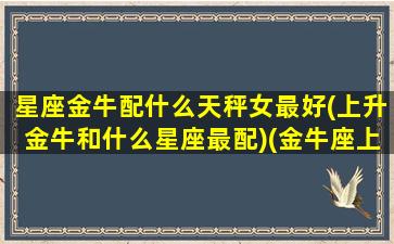 星座金牛配什么天秤女最好(上升金牛和什么星座最配)(金牛座上升星座天秤座)