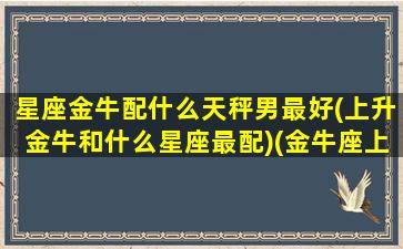 星座金牛配什么天秤男最好(上升金牛和什么星座最配)(金牛座上升天平男)