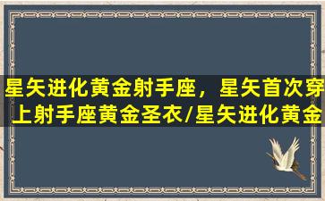 星矢进化黄金射手座，星矢首次穿上射手座黄金圣衣/星矢进化黄金射手座，星矢首次穿上射手座黄金圣衣-我的网站