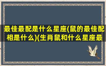 最佳最配是什么星座(鼠的最佳配相是什么)(生肖鼠和什么星座最配)