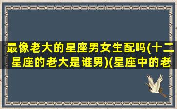 最像老大的星座男女生配吗(十二星座的老大是谁男)(星座中的老大是哪一个星座)