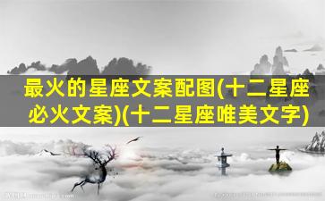 最火的星座文案配图(十二星座必火文案)(十二星座唯美文字)