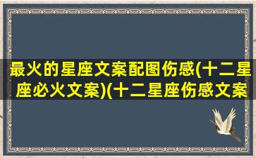 最火的星座文案配图伤感(十二星座必火文案)(十二星座伤感文案图片)