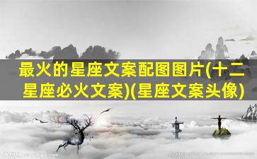 最火的星座文案配图图片(十二星座必火文案)(星座文案头像)