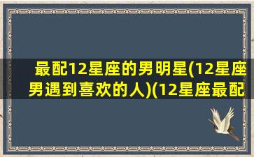 最配12星座的男明星(12星座男遇到喜欢的人)(12星座最配什么星座的男生)