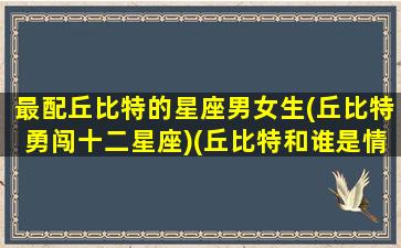 最配丘比特的星座男女生(丘比特勇闯十二星座)(丘比特和谁是情侣)