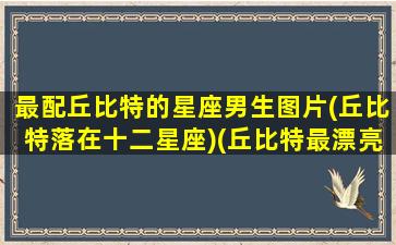 最配丘比特的星座男生图片(丘比特落在十二星座)(丘比特最漂亮的女生)