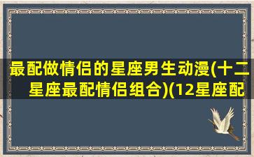 最配做情侣的星座男生动漫(十二星座最配情侣组合)(12星座配对情侣男配女)