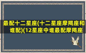 最配十二星座(十二星座摩羯座和谁配)(12星座中谁最配摩羯座男)