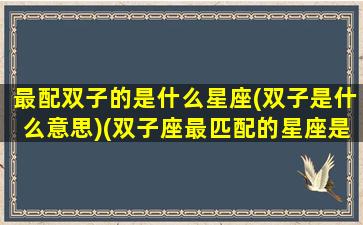 最配双子的是什么星座(双子是什么意思)(双子座最匹配的星座是什么星座)