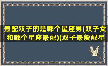 最配双子的是哪个星座男(双子女和哪个星座最配)(双子最般配星座)