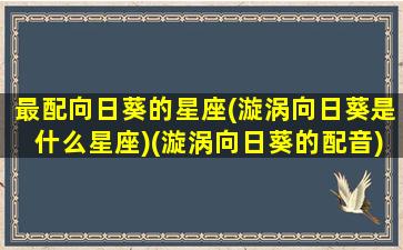 最配向日葵的星座(漩涡向日葵是什么星座)(漩涡向日葵的配音)