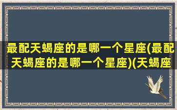 最配天蝎座的是哪一个星座(最配天蝎座的是哪一个星座)(天蝎座最配的星座是什么星座)