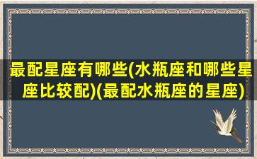 最配星座有哪些(水瓶座和哪些星座比较配)(最配水瓶座的星座)