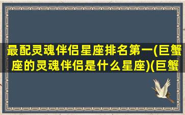 最配灵魂伴侣星座排名第一(巨蟹座的灵魂伴侣是什么星座)(巨蟹座有趣的灵魂)