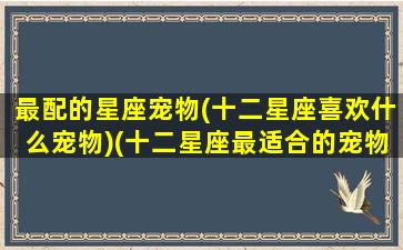 最配的星座宠物(十二星座喜欢什么宠物)(十二星座最适合的宠物是什么)