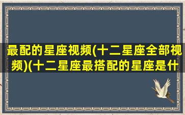 最配的星座视频(十二星座全部视频)(十二星座最搭配的星座是什么)