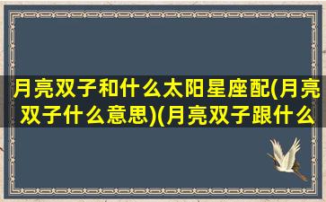 月亮双子和什么太阳星座配(月亮双子什么意思)(月亮双子跟什么星座最配)