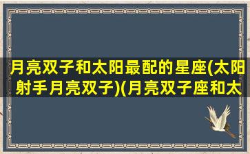 月亮双子和太阳最配的星座(太阳射手月亮双子)(月亮双子座和太阳双子座)