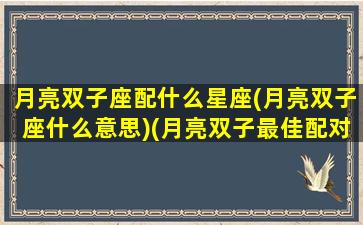 月亮双子座配什么星座(月亮双子座什么意思)(月亮双子最佳配对)