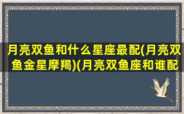 月亮双鱼和什么星座最配(月亮双鱼金星摩羯)(月亮双鱼座和谁配)