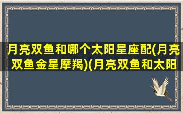 月亮双鱼和哪个太阳星座配(月亮双鱼金星摩羯)(月亮双鱼和太阳双鱼的人在一起)