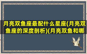 月亮双鱼座最配什么星座(月亮双鱼座的深度剖析)(月亮双鱼和哪个月座最配)