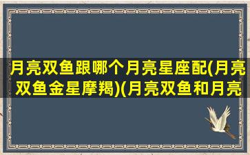 月亮双鱼跟哪个月亮星座配(月亮双鱼金星摩羯)(月亮双鱼和月亮双鱼的配对)