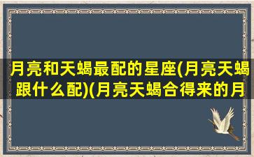 月亮和天蝎最配的星座(月亮天蝎跟什么配)(月亮天蝎合得来的月座)