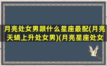 月亮处女男跟什么星座最配(月亮天蝎上升处女男)(月亮星座处女座的男生爱情)