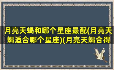 月亮天蝎和哪个星座最配(月亮天蝎适合哪个星座)(月亮天蝎合得来的月座)