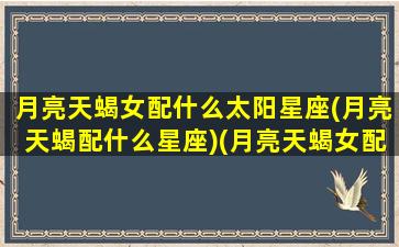 月亮天蝎女配什么太阳星座(月亮天蝎配什么星座)(月亮天蝎女配哪个月座)